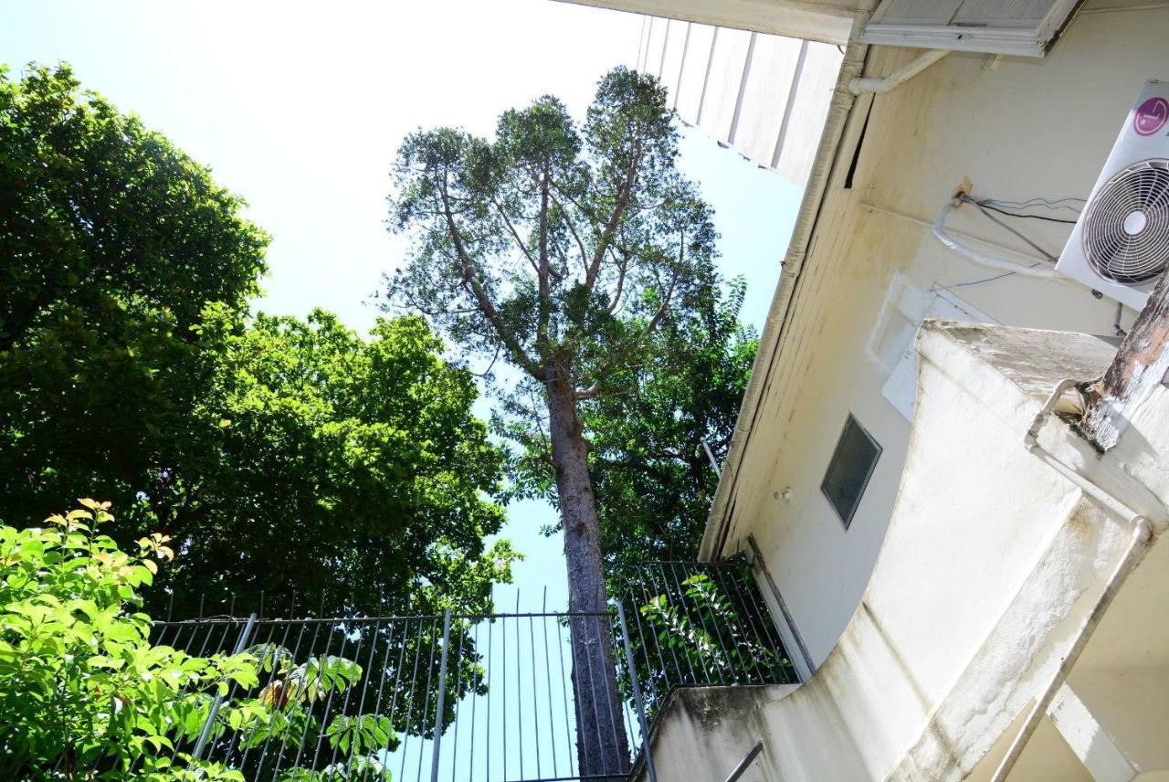 Cozy Flamengo - 3 Hospedes, Conforto E Privativo! ริโอเดจาเนโร ภายนอก รูปภาพ
